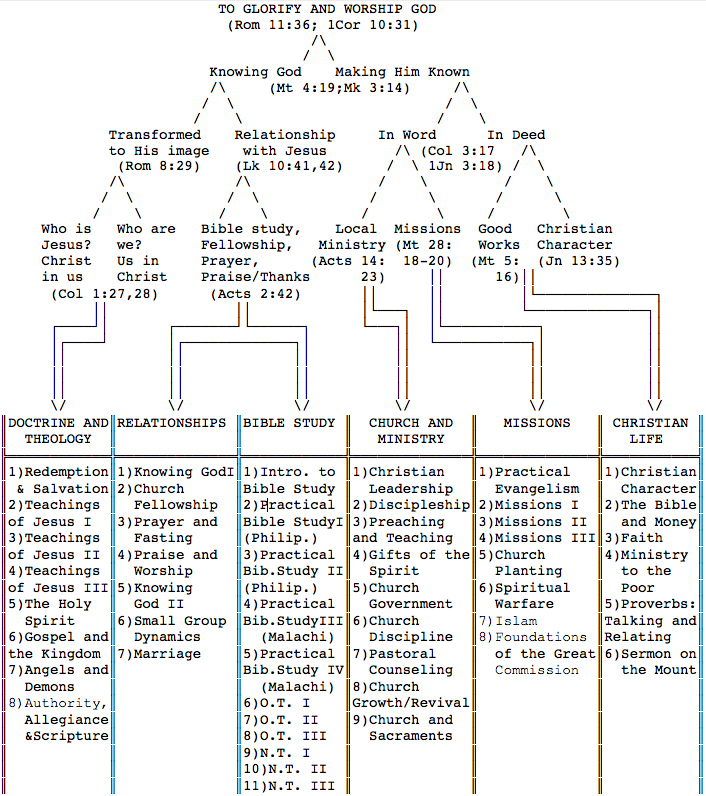 organization of motmot